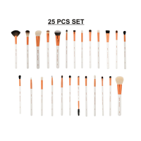Brush 25-pcs Set with Premium Rose Gold Pouchz