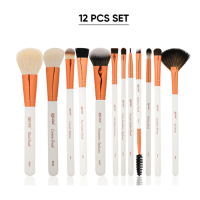 Brush 12-pcs Set with Premium Rose Gold Pouch