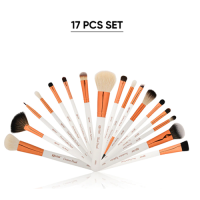 Brush 17-pcs Set with Premium Rose Gold Pouch